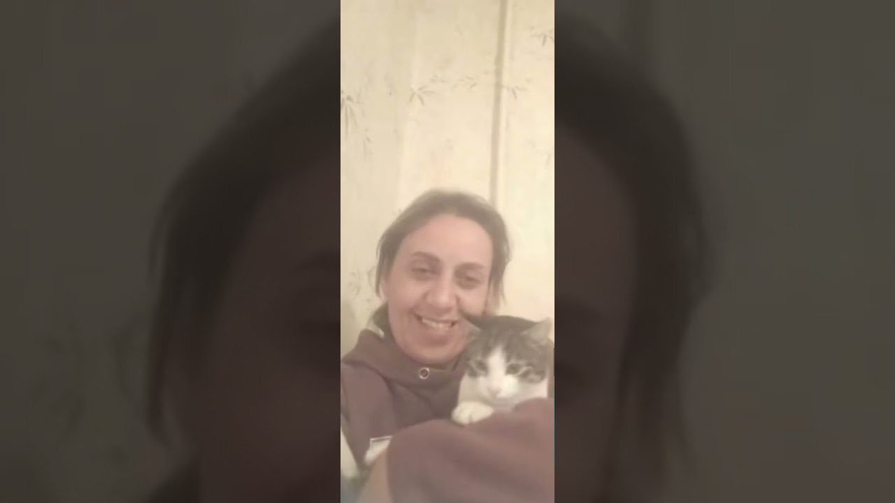 KİM NƏ YAZIR MƏNİM VECİMƏ DEYİL 😐🤷🏻‍♀️