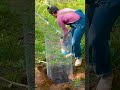 DIY-Spülen-Ideen, die Sie selbst umsetzen können!