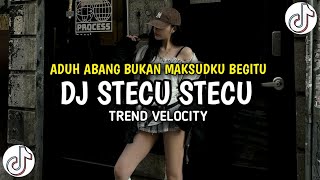 DJ STECU STECU SETELAN CUEK BARU MALU PLAT KT DJ TIKTOK TERBARU 2025