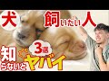 初めて犬を飼う人が必ず知っておくべき3つのことを獣医師が解説【保護犬】