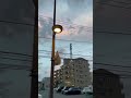 Pemandangan jalan-jalan sore abis bangun tidur di Jepang 🥺