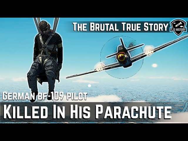The P-51 Mustang Pilot that Killed a German in his Parachute - Brutal True Story of Richard Peterson class=