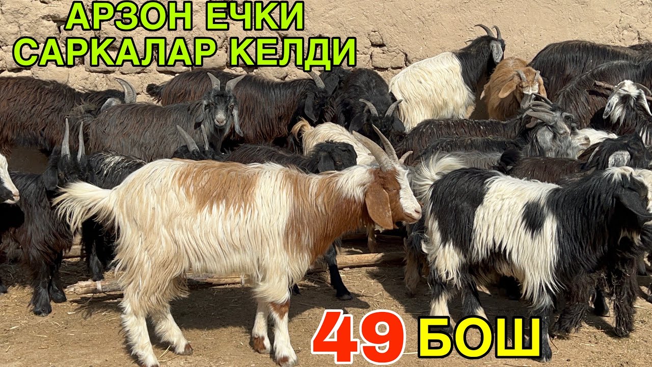 САРКАЛАР СУВ ТЕКИНГА. ☎️+998886365924 ☎️+998973892859