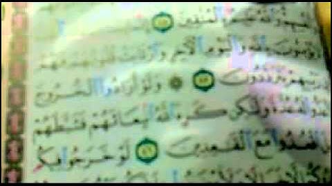 مصحف القلم الناطق للحفظ و التجويد عشر قراء - يوتيوب