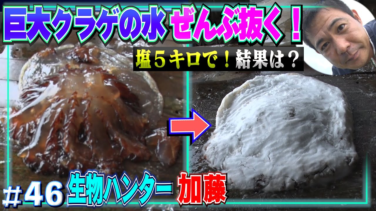 Mass Infestation] The Great Mission to Drain the Water and Eat the
