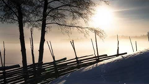 Floating Wafts of Mist - Intuitive Music on Double Strung Harp