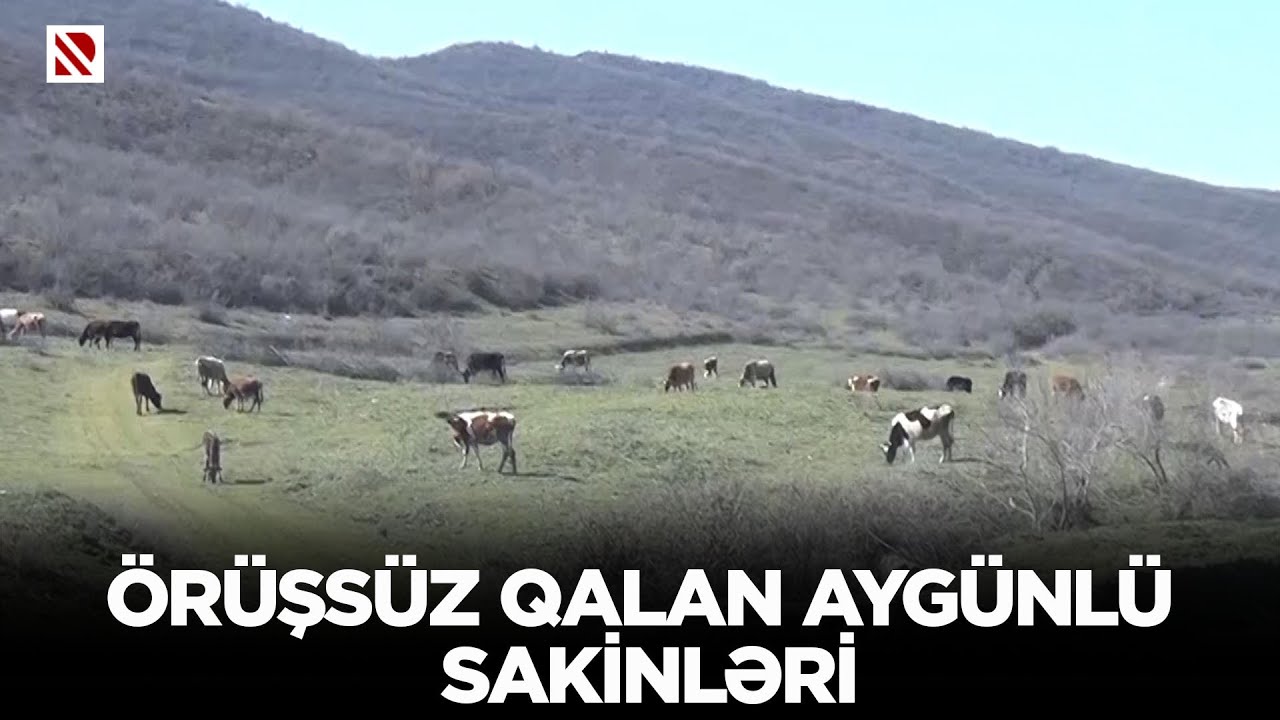 Örüşsüz qalan Aygünlü sakinləri