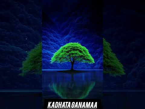 Seenaa Itti Eebbifama Amma Dhumaatti Itti Eebbifama