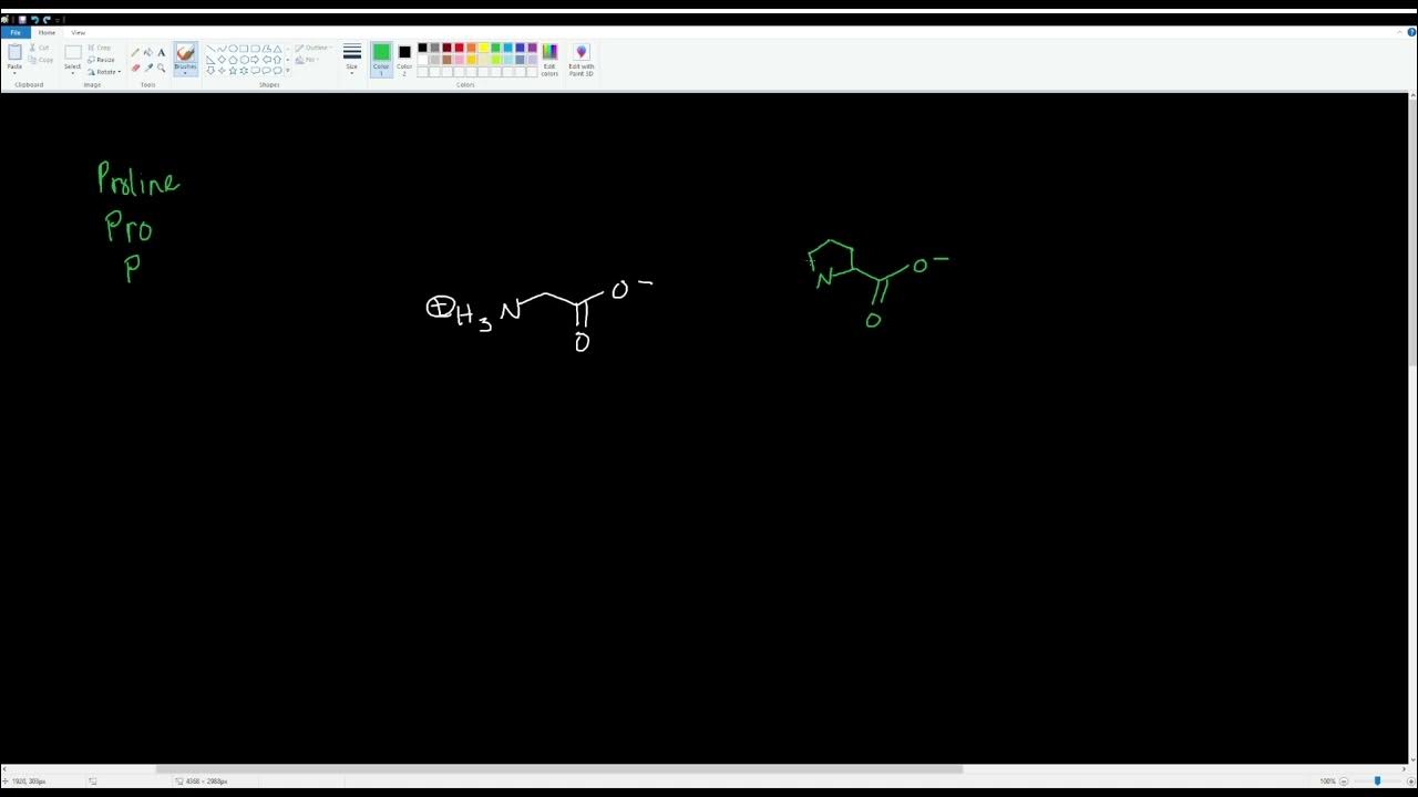 Memorizing the 20 Essential Amino Acids (Bis102) - YouTube