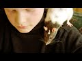 Great Tips for Keeping Rats as Pets