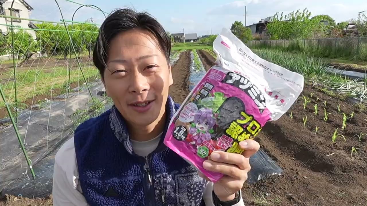 あすみ20kg(露地、家庭用)PONTACHAN様あ アヅミン 【1.8kg×1袋】: デンカ土づくり部会 畑の応援団|【JAタウン