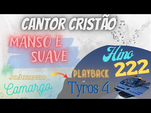 Manso e Suave