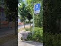 Sursee June Passage fare 😅🚌🚙🇨🇭@yosha28 Luzern Switzerland
