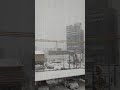 폭설이다 오랜만에많은눈을보게되네
