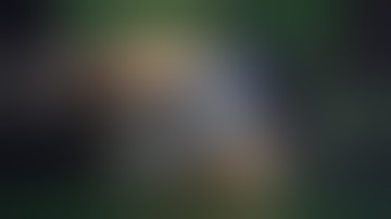 BroScience Vapes/ NXL DNA 250c Custom LIPO Box Mod/ Review