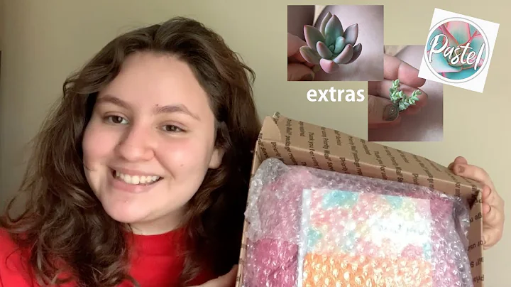 Discover Unique Succulents in Etsy Unboxing