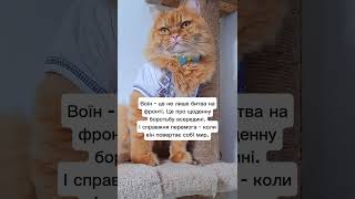 Воїн #україна #війна #війнавукраїні #зсу #ппо #військові #поліція #мвс #мир #спокій #психологія