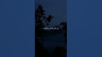 أقم الصلاة لدلوك الشمس الي غسق الليل وقرآن الفجر إن قرآن الفجر كان مشهودا | سورة الإسراء #قرآن