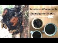 Comment Récolter Et Préparer Le Champignon Chaga Bienfaits Du Chaga Pour La Santé Comment Récolter Et Préparer Le Champignon Chaga Bienfaits Du Chaga Pour La Santé