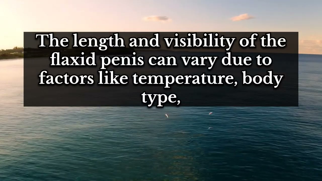 The Psychology of Love Girls || Why We Fall for Certain People and Not Others.