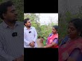 fertilizing fruit plants