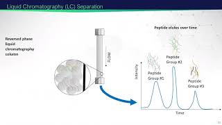 Mass Spectrometry-Based Proteomics | 2021 EMSL Summer School