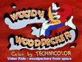Woodpeckers From Space HQ Video Kids