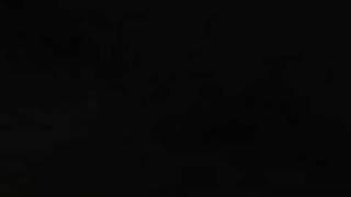 Busch Gardens Sheikra Ride