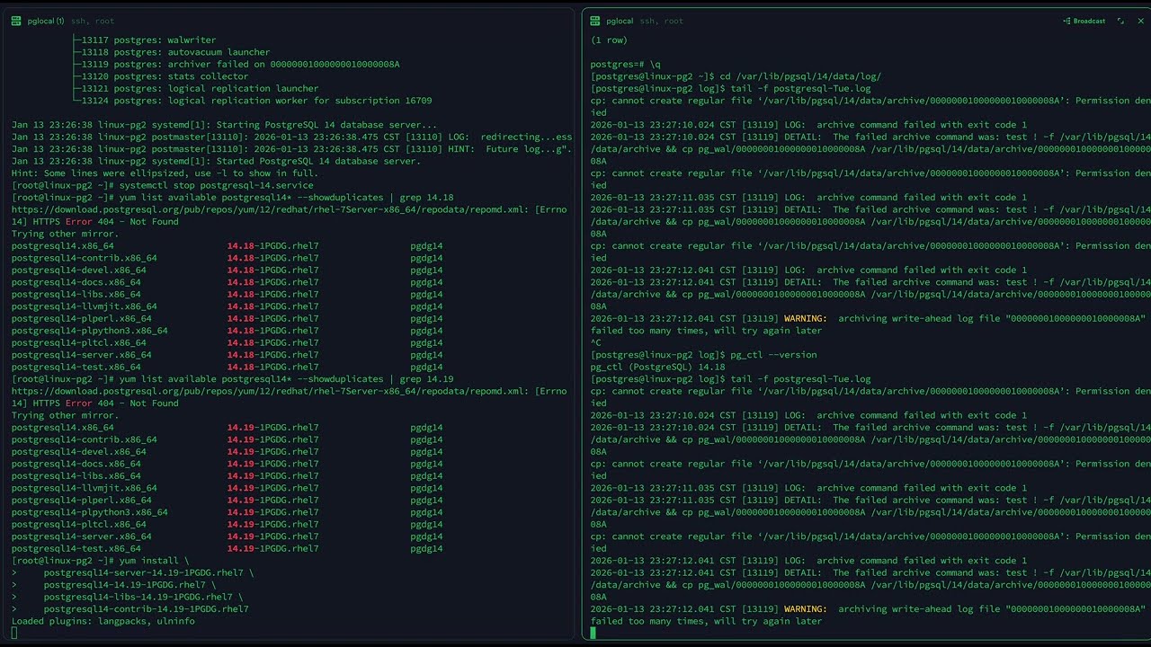 Minor Version Upgrade for Postgresql from 14.18 to 14.19