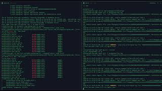 Minor Version Upgrade for Postgresql from 14.18 to 14.19 Net Worth