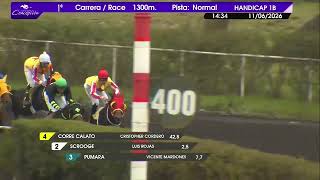 Vidéo de la course PMU ZAITUN