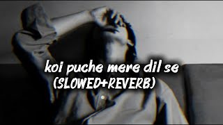 Koi Puche Mere Dil Se 💔 | Slowed   Reverb | Sad Lofi Song 🌙 | Feel The Pain 🥀