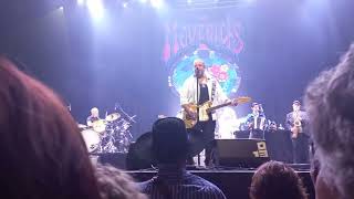 The Mavericks -Tilburg- 2022