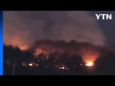 전남 보성서 산불...1시간 50분 만에 큰 불길 잡혀 / YTN