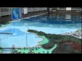東海大学海洋科学博物館（３） の動画、YouTube動画。