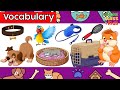 Pet Store Adventure Quiz