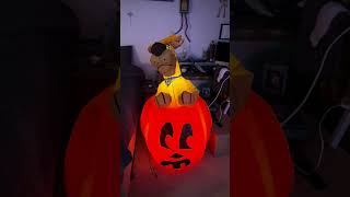 CUSTOM Gemmy Halloween Scooby doo pop up inflatable review