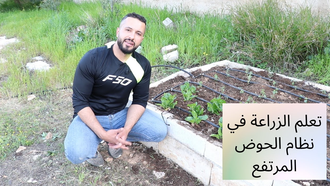 الزراعة في حوض مرتفع