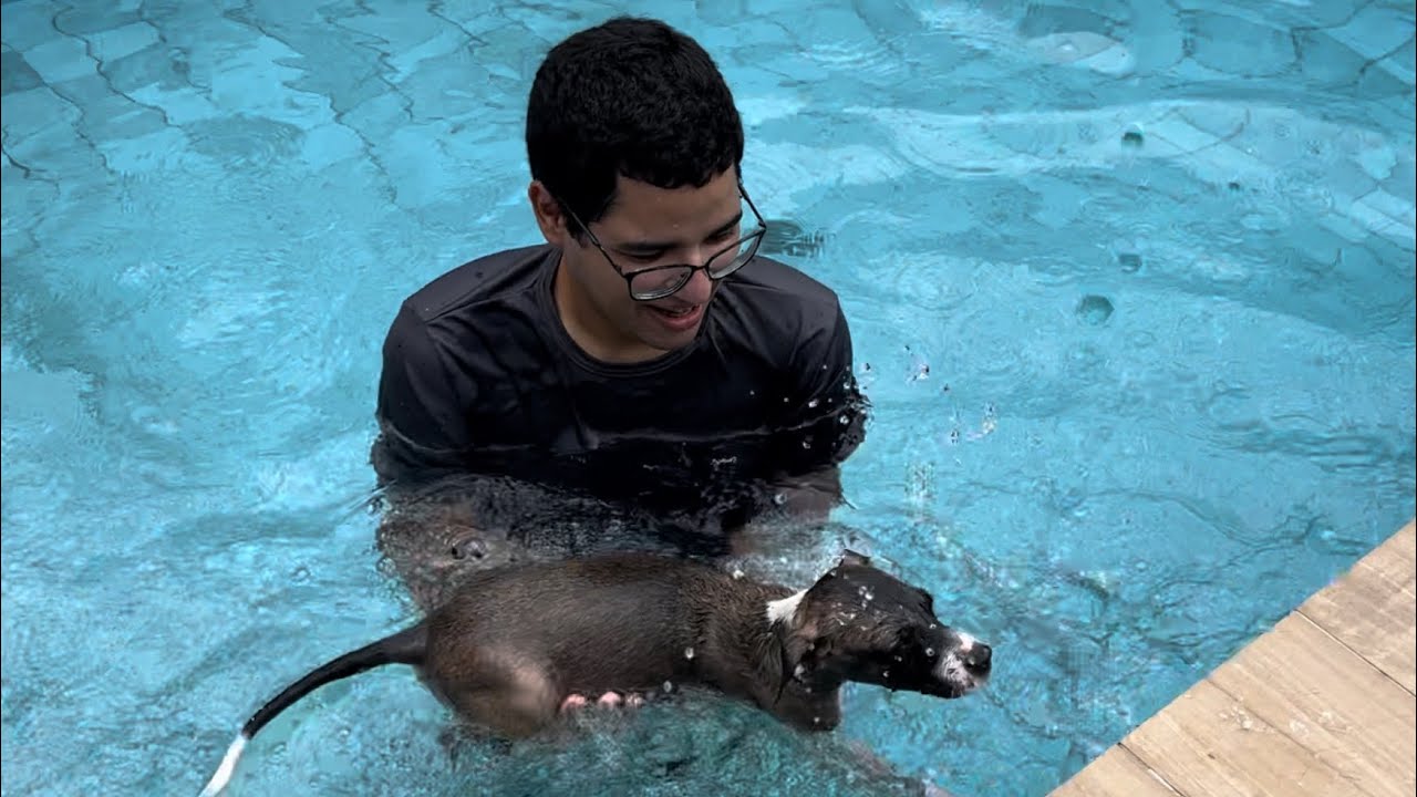 NOSSA CACHORRINHA TOMOU BANHO DE PISCINA PELA PRIMEIRA VEZ! - Família Velhote