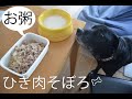 老犬の手作りご飯 | ひき肉そぼろ粥
