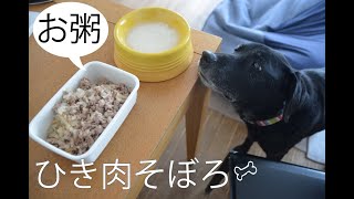 老犬の手作りご飯 | ひき肉そぼろ粥