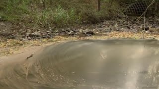 Clean-up begins after diesel spill in Bear Creek