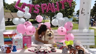 SURPRISING MY PUPPY FOR HER 2ND BIRTHDAY