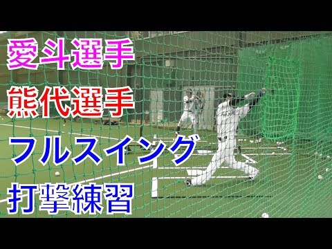 愛斗選手・熊代選手のフルスイング打撃練習【西武ライオンズ、春野キャンプ2018】