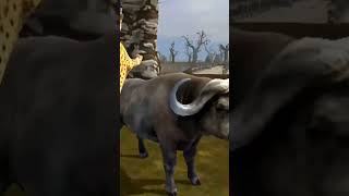 Mad Angry Buffalos Fight With Animals Android game #animals#mrbeast#cow #gaming#games#gameplay #game screenshot 3