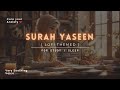 1 am study session  surah yaseen lofi quran  cure your anxiety  lofiquran surahyaseen