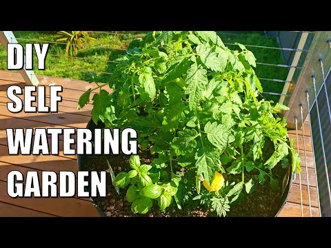 How to Build a Self Watering Wicking Garden