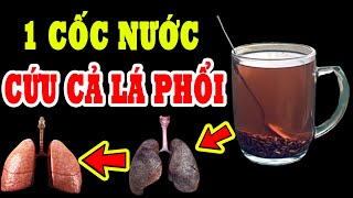 CÁC LOẠI NƯỚC Là VUA GIẢI ĐỘC PHỔI, UỐNG Tới Đâu PHỔI Sạch Tới Đó, Biết Mà UỐNG Sớm Cả Đời Không Lo