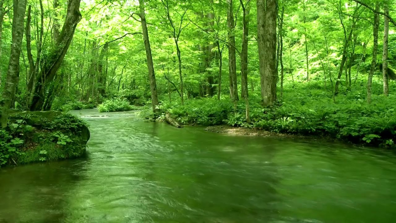 Calm Ambient Lo-Fi for Work, Study & Deep Relaxation