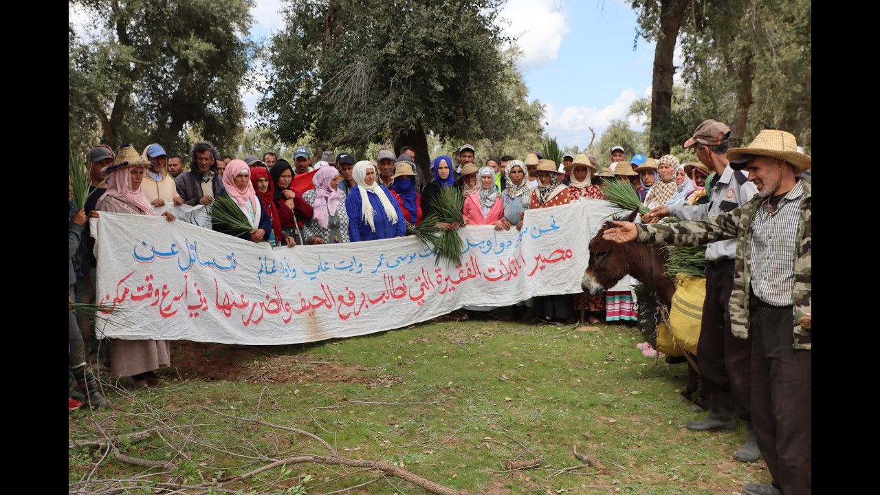 ساكنة شعبة العبد موخارات عين جوهرة تتعرض على رخصة احتلال مؤقت بعد حرمانها من حق الإنتفاع في الرعي